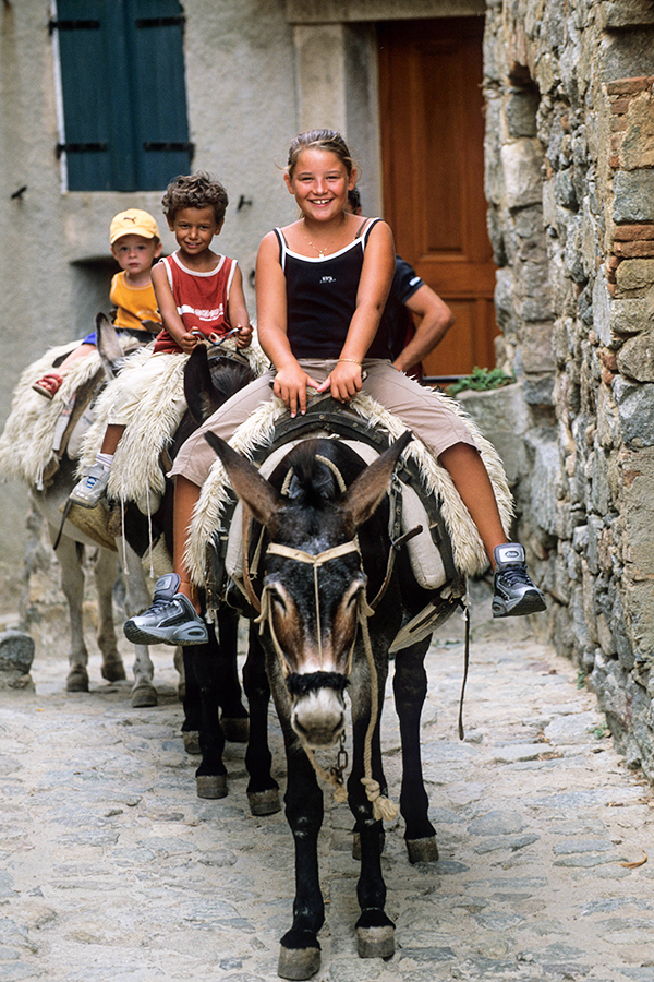 Balade en âne Corse