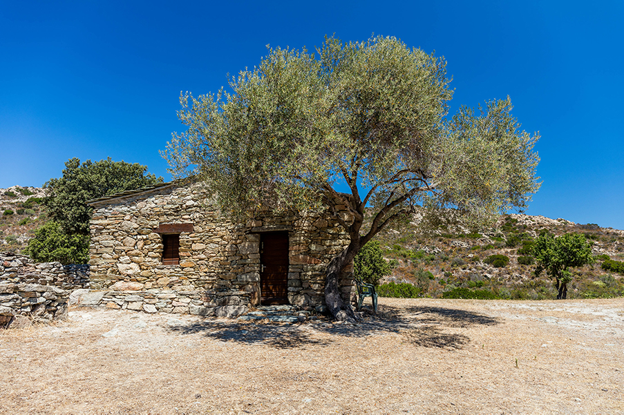 Désert des Agriates