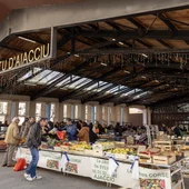  © Sylvain Alessandri ATC