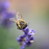  © Unsplash -  Anastazja Kuroczycka