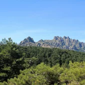  © Pexels Arnaud Audoin