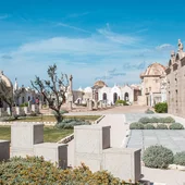 Corse du Sud © Pixabay Piotrarssale