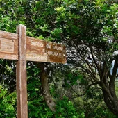 Corse du Sud © La Corse Autrement