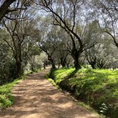 Corse du Sud © Ajaccio Tourisme