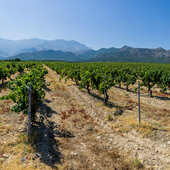 Haute Corse © Robert Palomba