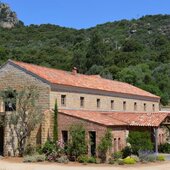 Corse du Sud © Domaine Saparale