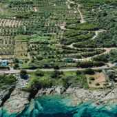 Haute Corse © Domaine Terra di Catoni