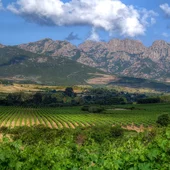 Haute Corse © Domaine Alzipratu