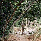 Haute Corse © L'Eco parc de la vallée d'Asco