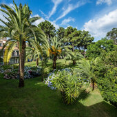 Jardin de l'Hôtel Marina Viva*** Corse du Sud © Robert Palomba
