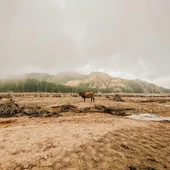  © Pexels Agence Mald