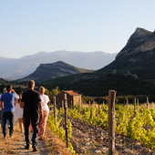 Haute Corse