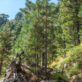 Haute Corse © Robert Palomba