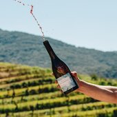 © Vignoble Sant'Armettu
