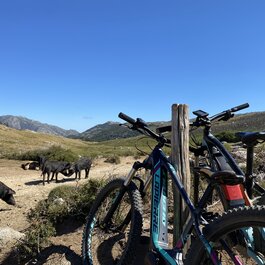 Corse du Sud © E.BIKE MOUNTAIN