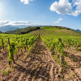Corse du Sud © Robert Palomba