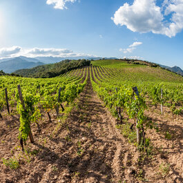 Corse du Sud © Robert Palomba