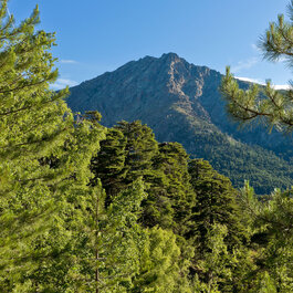 Haute Corse © Robert Palomba