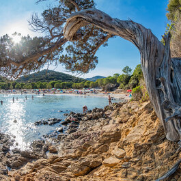 Corse du Sud © Robert Palomba