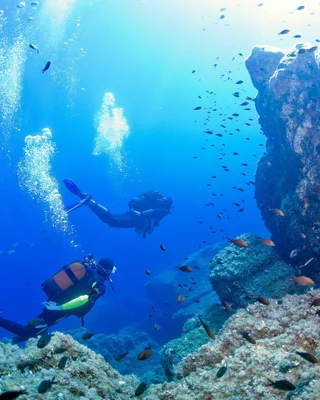 Les fonds marins en Corse