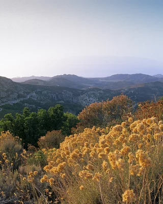 Speloncato, in Balagne