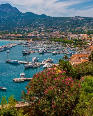 Calvi