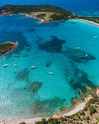 plage rondinara corse