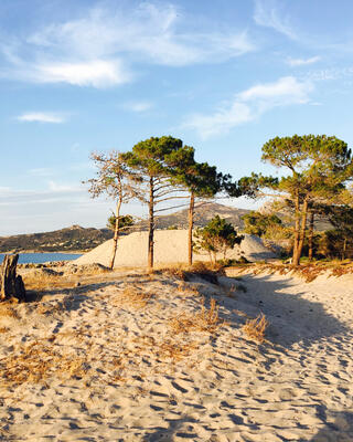Camping Dolce Vita