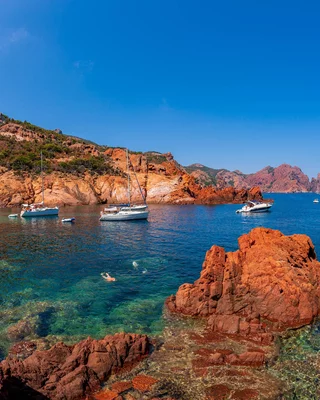Réserve naturelle de Scandola, Elbo
