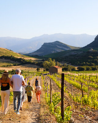 Dégustation de vin à Patrimonio