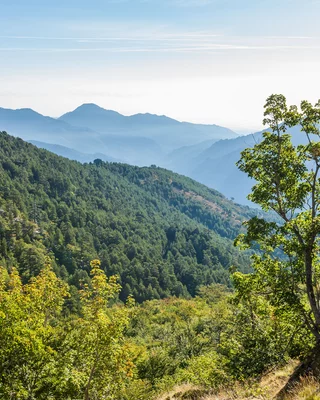 Corsican mountains