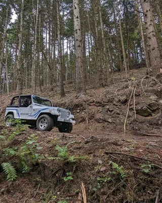 Activité 4x4 Ajaccio et Sagone © Coggia 4x4