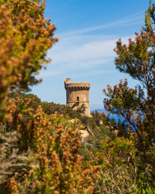 Corse du sud © Arnaud Grimaldi