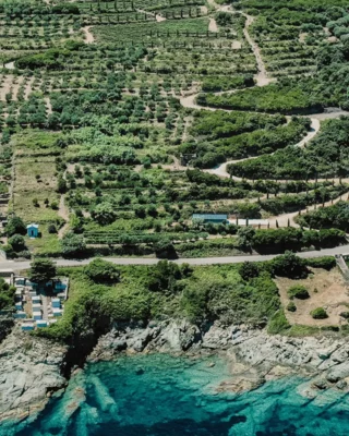  © Domaine Terra di Catoni