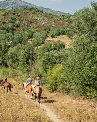 gite tour genoise corse