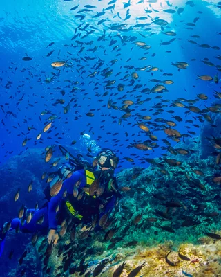 Corse du Sud © Robert Palomba
