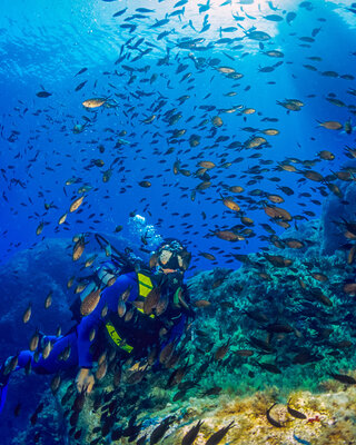 Corse du Sud © Robert Palomba