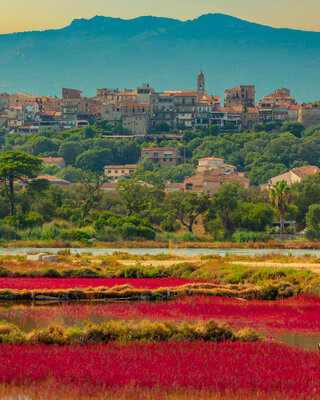 Corse du sud
