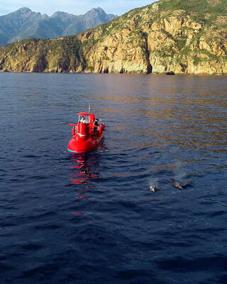 Corse du Sud © Corse Emotion