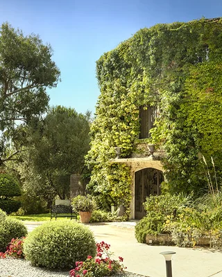 Hôtel Hostellerie du Moulin des Oliviers