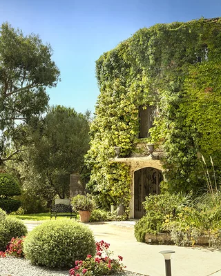 Hôtel Hostellerie du Moulin des Oliviers