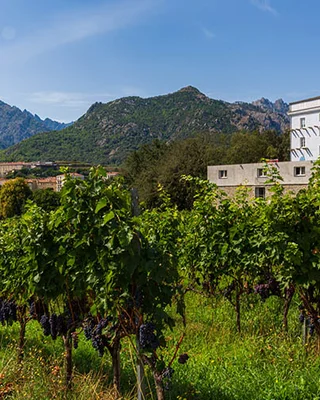Agriturismo L'Osteria di L'Orta