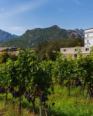 Farm Inn L'Osteria di L'Orta
