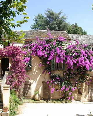 Chambre d'hôtes Domaine de Valle
