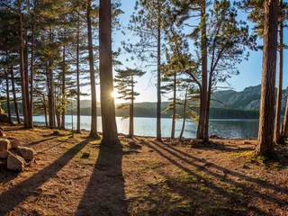 Forêt & lac de l'Ospedale