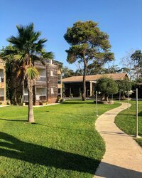 Les extérieurs - Hôtel La Lagune