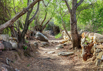 Chemin de l'Oriu de Monacia