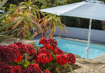 Piscine - Hôtel U Ricordu