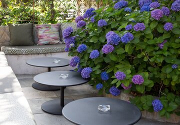 Terrasse - L'Albion Hôtel