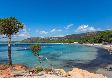 Plage de Palombaggia